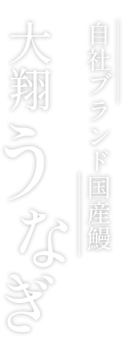 自社ブランド国産鰻『大翔うなぎ』